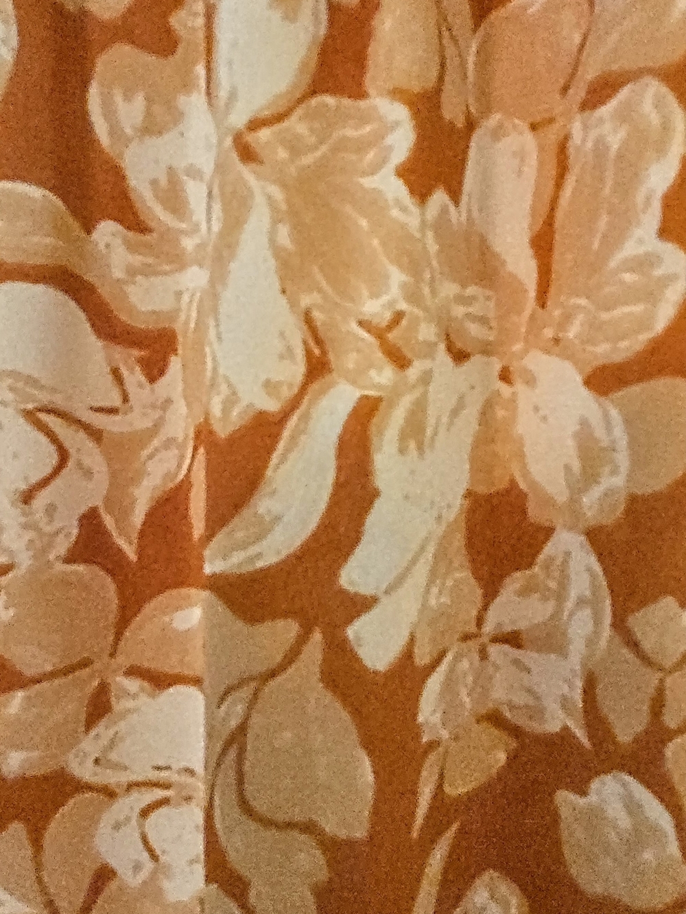 Daniel Rainn Rust Orange Floral Blouse